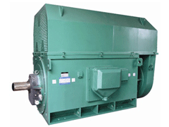 JR126-4YKK系列高压电机