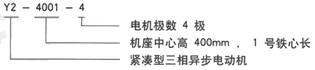 YR系列(H355-1000)高压JR126-4三相异步电机西安西玛电机型号说明